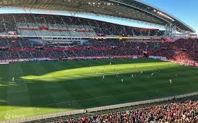 《荒野乱斗》新版本来袭！新英雄阿尔缇竟是“战斗版Moss”